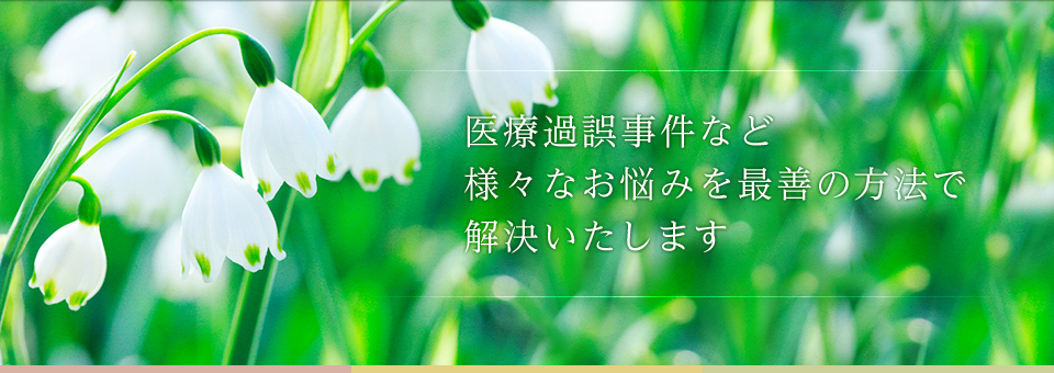 医療過誤事件など様々なお悩みを最善の方法で解決いたします